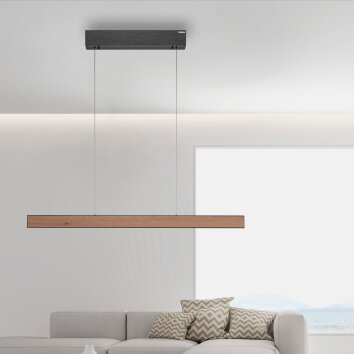 Paul Neuhaus PURE E-MOTION Lampada a Sospensione LED Aspetto del legno, Nero, 1-Luce, Telecomando