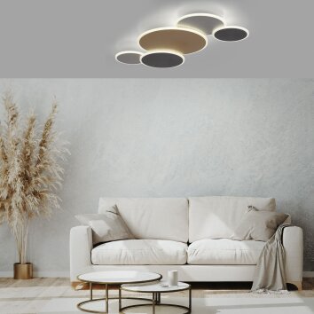 Paul Neuhaus Q-PIATO Plafoniera LED Bianco, 1-Luce, Telecomando