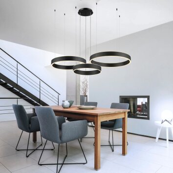 Paul Neuhaus SCULLI Lampada a Sospensione LED Nero, 2-Luci