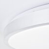 Brilliant Livius Plafoniera LED Argento, 1-Luce, Telecomando