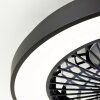 Brilliant Mazzaro ventilatore da soffitto LED Nero, 1-Luce, Telecomando, Cambia colore