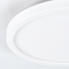 Pawcatuck Lampada da incasso LED Bianco, 1-Luce