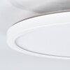 Pawcatuck Lampada da incasso LED Bianco, 1-Luce