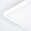 Pawcatuck Lampada da incasso LED Bianco, 1-Luce