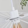 Cacor Lampadario a sospensione Bianco, 1-Luce