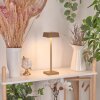 Algeraz Lampada da tavolo LED Ottone, 1-Luce