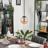 Gastor Lampadario a sospensione - Vetro Ambrato, 1-Luce