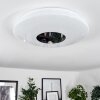 Lumsden Plafoniera LED Bianco, 1-Luce, Sensori di movimento