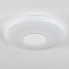 Lumsden Plafoniera LED Bianco, 1-Luce, Sensori di movimento