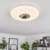 Lumsden Plafoniera LED Bianco, 1-Luce, Sensori di movimento