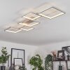 Bacolod Plafoniera LED Argento, 1-Luce