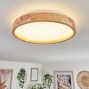 Sofo Plafoniera LED Bianco, 1-Luce