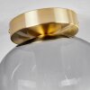 Apedo Plafoniera - Vetro Ottone, 1-Luce
