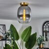 Apedo Plafoniera - Vetro Ottone, 1-Luce