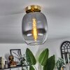 Apedo Plafoniera - Vetro Ottone, 1-Luce