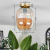 Apedo Plafoniera - Vetro Ottone, 1-Luce