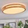 Sofo Plafoniera LED Bianco, 1-Luce, Telecomando
