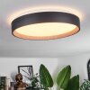 Sassemte Plafoniera LED Bianco, 1-Luce