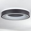 Palanko Plafoniera LED Bianco, 1-Luce, Telecomando