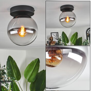 Gastor Plafoniera - Vetro Cromo, Chiaro, Grigio fumo, 1-Luce