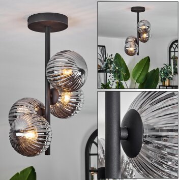 Chehalis Plafoniera - Vetro Grigio fumo, 4-Luci