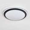 Castasegna Plafoniera LED Bianco, 1-Luce