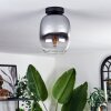 Apedo Plafoniera - Vetro Chiaro, Grigio fumo, 1-Luce