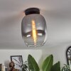 Apedo Plafoniera - Vetro Chiaro, Grigio fumo, 1-Luce