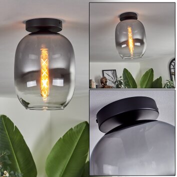 Apedo Plafoniera - Vetro Chiaro, Grigio fumo, 1-Luce