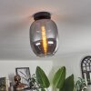 Apedo Plafoniera - Vetro Grigio fumo, 1-Luce