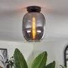 Apedo Plafoniera - Vetro Grigio fumo, 1-Luce