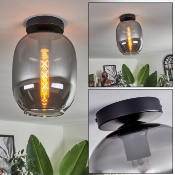 Apedo Plafoniera - Vetro Grigio fumo, 1-Luce