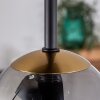 Chehalis Plafoniera - Vetro Oro, Nero, 5-Luci