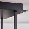 Chehalis Plafoniera - Vetro Oro, Nero, 5-Luci