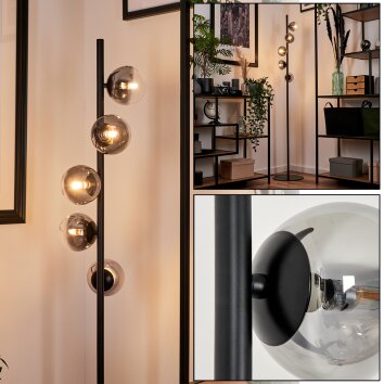 Remaisnil Lampada da terra - Vetro Chiaro, Grigio fumo, 5-Luci Remaisnil Lampada da terra - Vetro Chiaro, Grigio fumo, 5-Luci