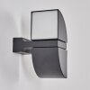 Kontenga Applique da esterno LED Antracite, 2-Luci