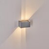 Tamarin Applique da esterno LED Grigio, 1-Luce