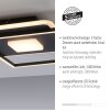 Leuchten-Direkt DOMINO Plafoniera LED Nero, 1-Luce