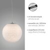 Paul-Neuhaus BOLO Lampada a Sospensione LED Argento, 1-Luce