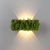 Leuchten-Direkt GREEN CARLO Applique LED Argento, 6-Luci
