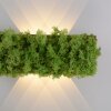 Leuchten-Direkt GREEN CARLO Applique LED Argento, 6-Luci