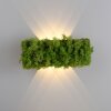 Leuchten-Direkt GREEN CARLO Applique LED Argento, 6-Luci