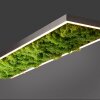 Leuchten-Direkt GREEN KNUT Plafoniera LED Argento, 1-Luce