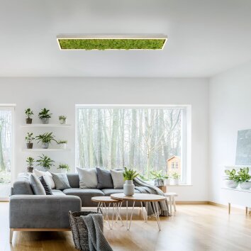 JUST LIGHT GERDA KNUT Plafoniera LED Argento, 1-Luce