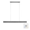 Paul-Neuhaus NANIA Lampada a Sospensione LED Grigio, 1-Luce