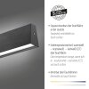 Paul-Neuhaus NANIA Lampada a Sospensione LED Grigio, 1-Luce