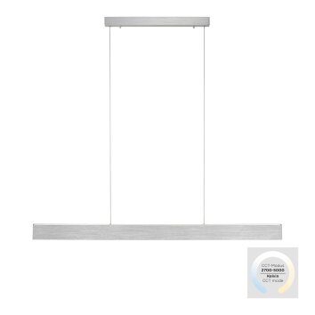 Paul-Neuhaus NANIA Lampada a Sospensione LED Argento, 1-Luce