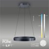 Paul-Neuhaus PURE E-CLIPSE Lampada a Sospensione LED Grigio, 2-Luci, Telecomando