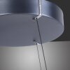 Paul-Neuhaus PURE E-CLIPSE Lampada a Sospensione LED Grigio, 2-Luci, Telecomando