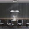 Paul-Neuhaus PURE E-CLIPSE Lampada a Sospensione LED Argento, 2-Luci, Telecomando